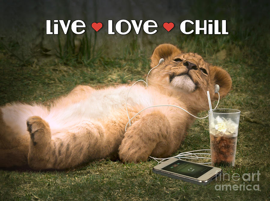 Music Digital Art - Live Love Chill lion cub by Evie Cook