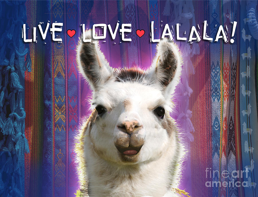 Live Love Lalala Llama Digital Art by Evie Cook