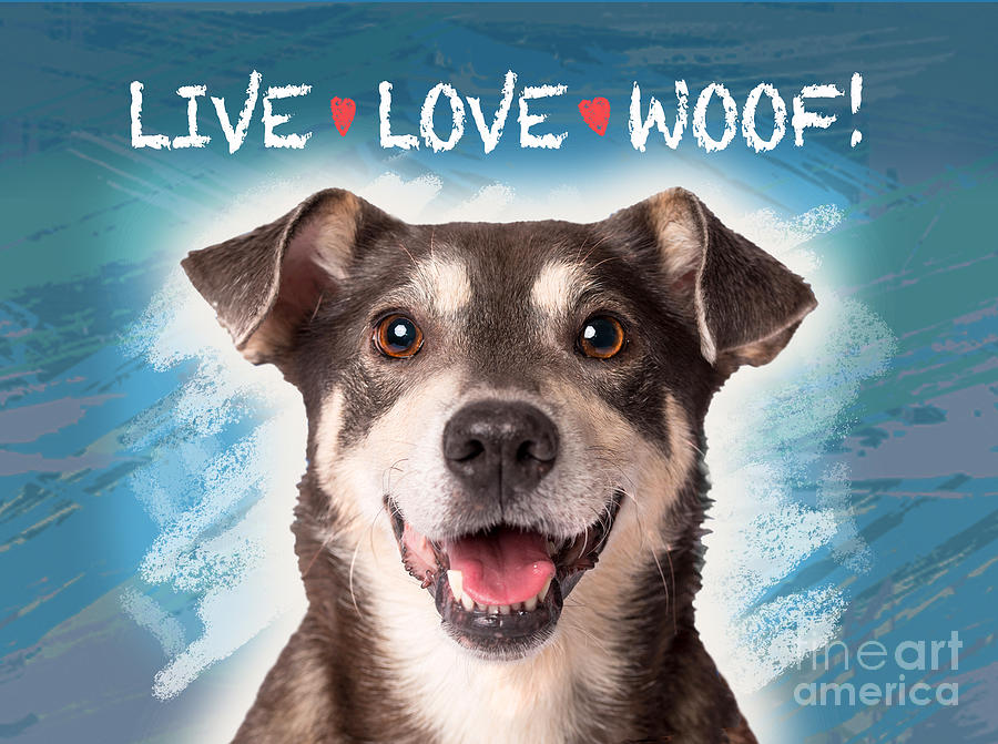 Live Love Woof Digital Art by Evie Cook