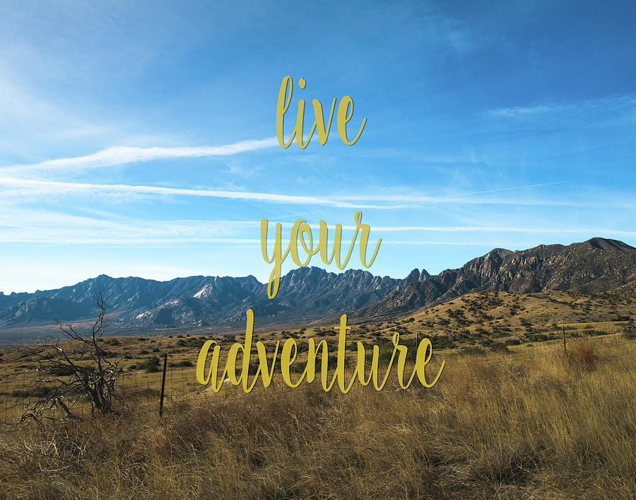 Live Your Adventure Photograph by Sonja Quintero