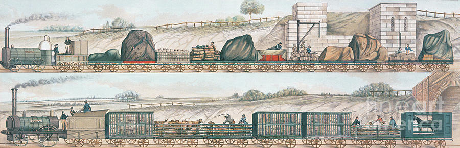 Liverpool And Manchester Railway Freight And Livestock Painting by English School