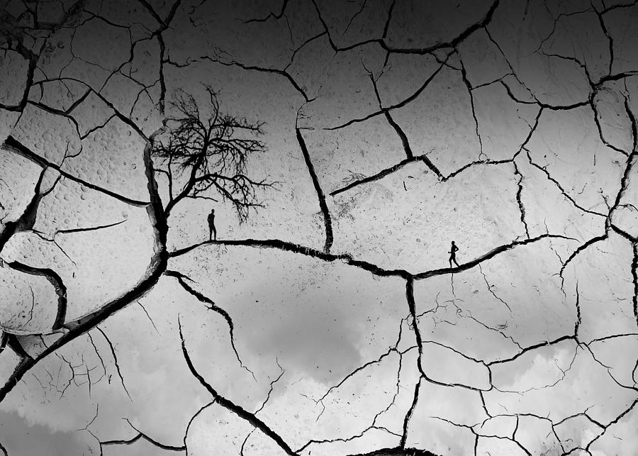 Surrealism Photograph - Living In A Drought by Alizolghadri93