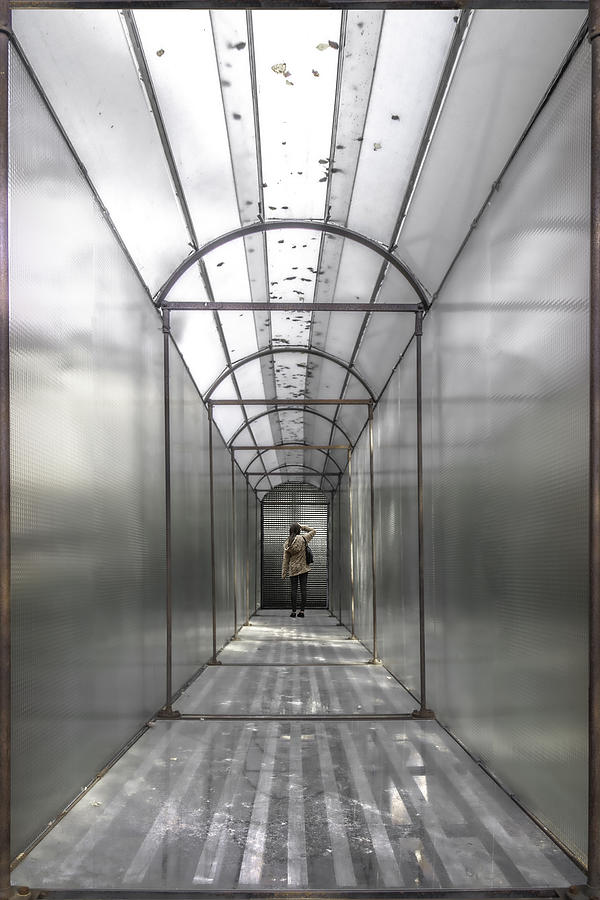 Living In A Glass Cage... Photograph by Gilbert Claes