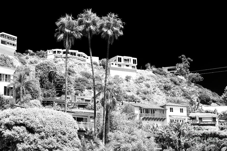Living in the Malibu Hills Photograph by John Rizzuto