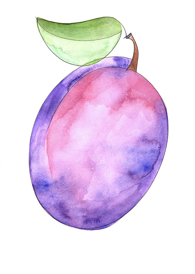 Cover Illustration of Plum Painting by Anna Elkins