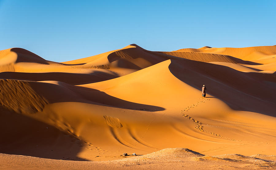 Nature Photograph - Liwa Desert by Mrinal Nath