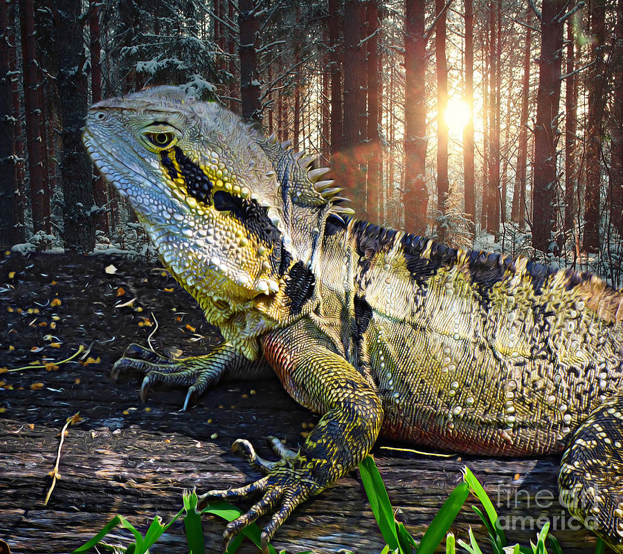 Lizard in the Forest. by Trudee Hunter Lizard in the Forest. by Trudee Hunter