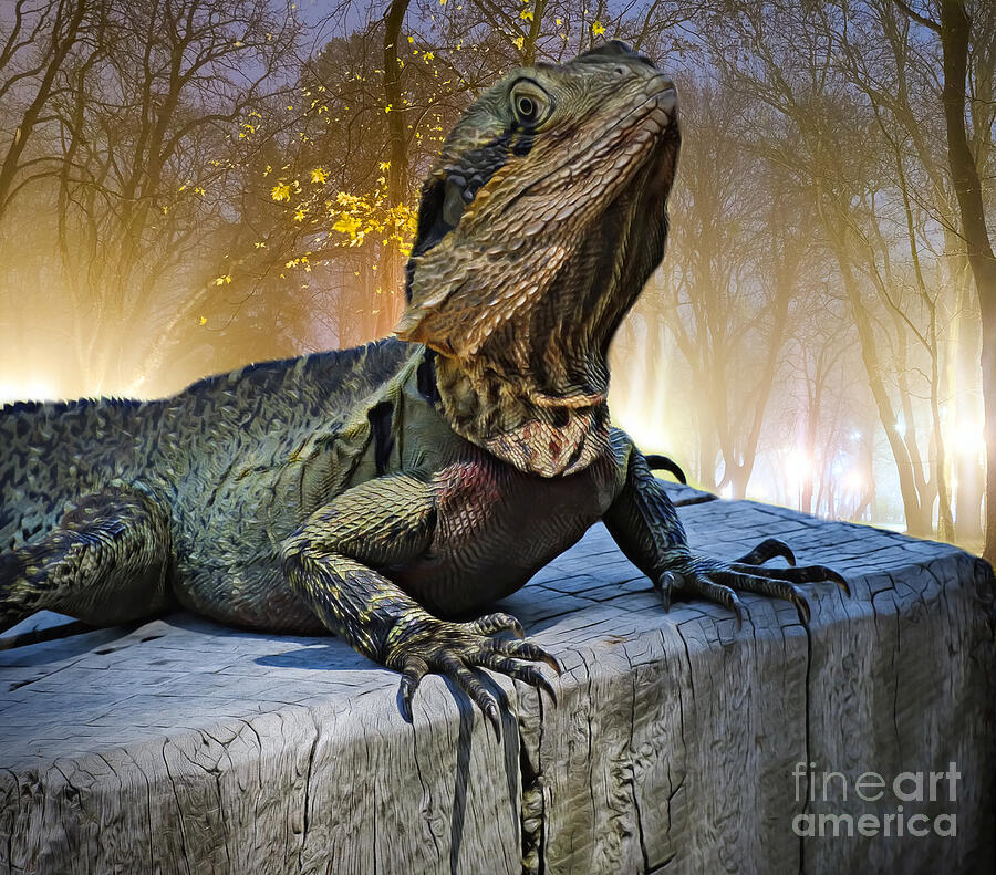 Lizard on a Log #2 by Trudee Hunter Lizard on a Log #2 by Trudee Hunter
