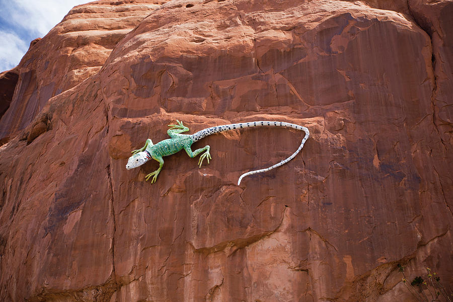 Zion National Park Photograph - Lizard On Surface Of Rock, Hole N by Panoramic Images