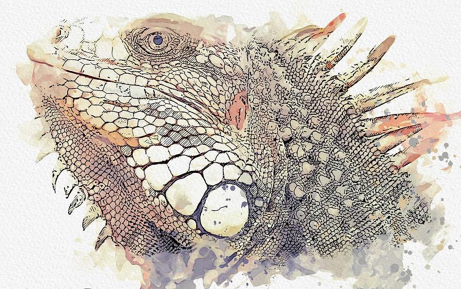 Nature Painting - lizard -  watercolor by Adam Asar by Celestial Images