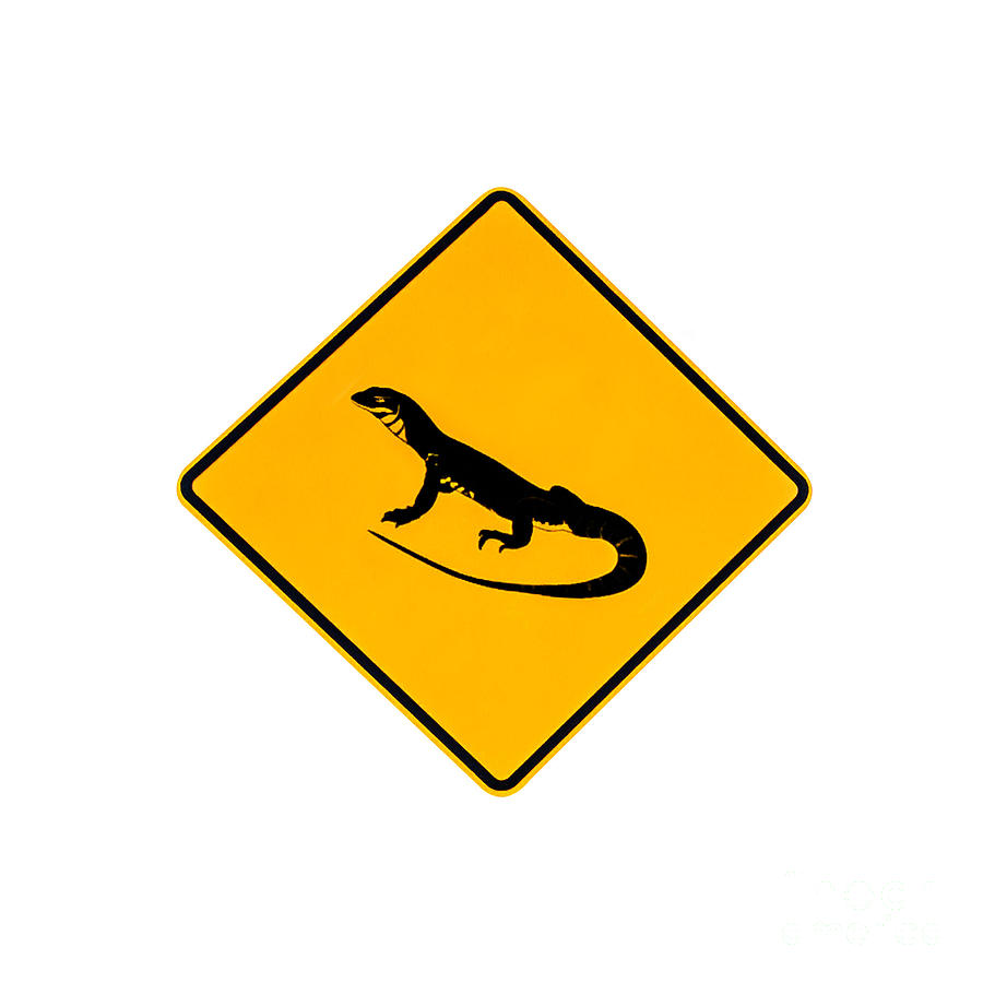 Lizards Warning Sign Photograph by Benny Marty