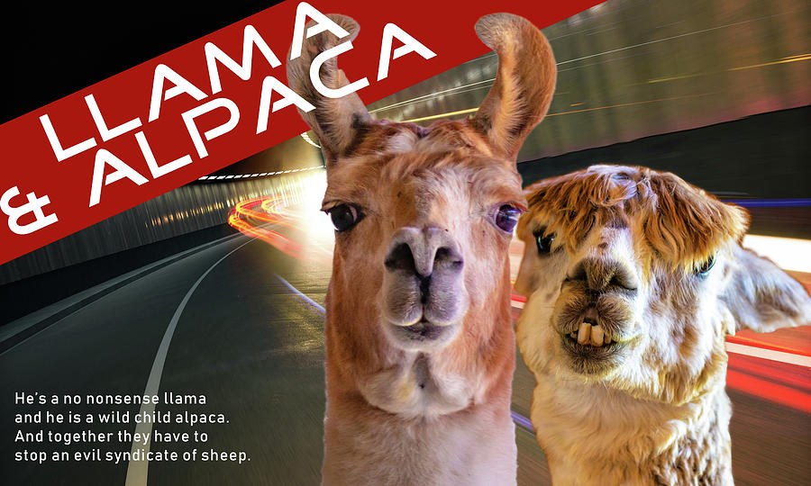 Llama And Alpaca Photograph