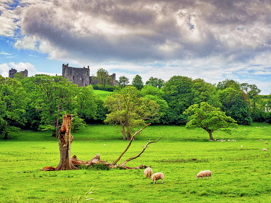 Llansteffan Castle Photograph by Mark Llewellyn