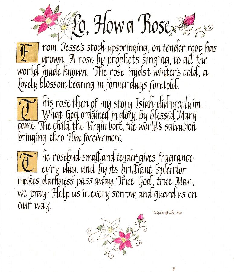 Lo, How a Rose by Valerie Bassett Lo, How a Rose by Valerie Bassett