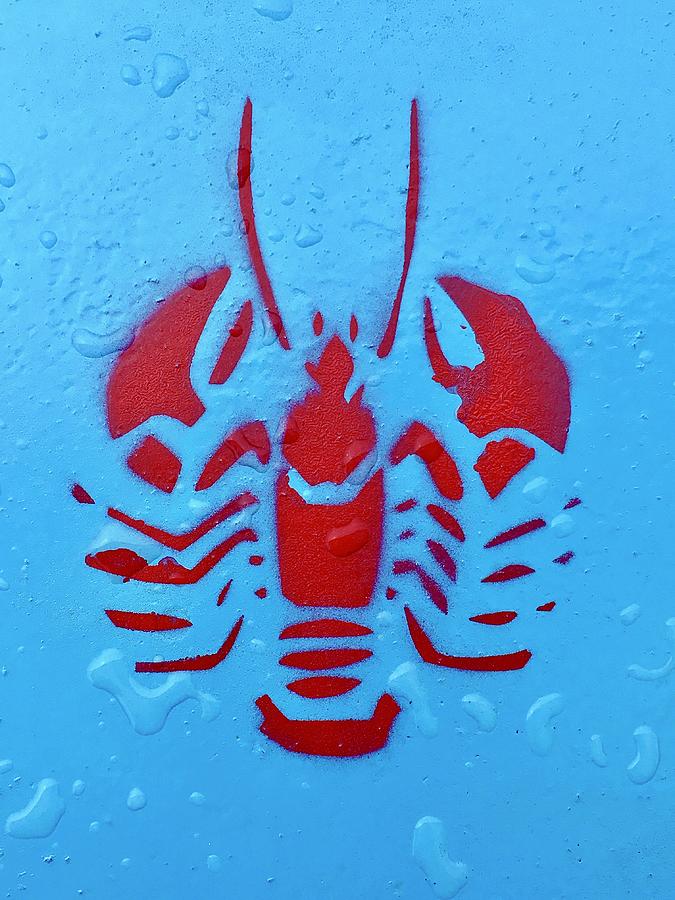 Lobstah Stencil Photograph by Debra Grace Addison