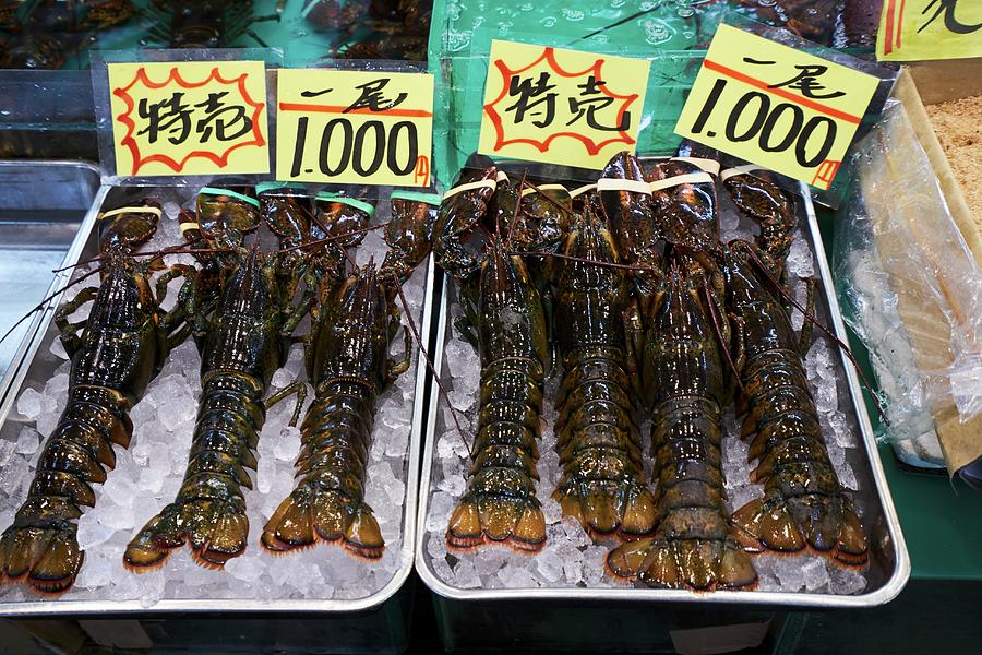 Lobster At The Tsukiji Fish Market In Tokyo, Japan Photograph by Ria Osborne
