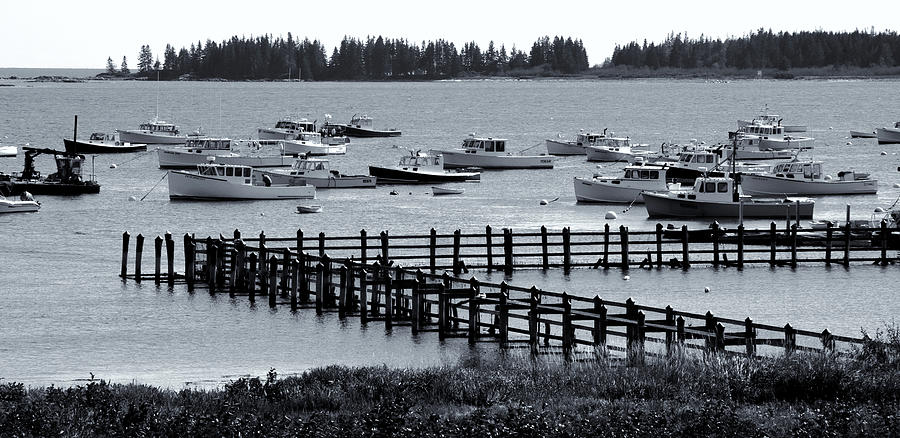 Boat Photograph - Lobster Boat Fleet by Mike Martin
