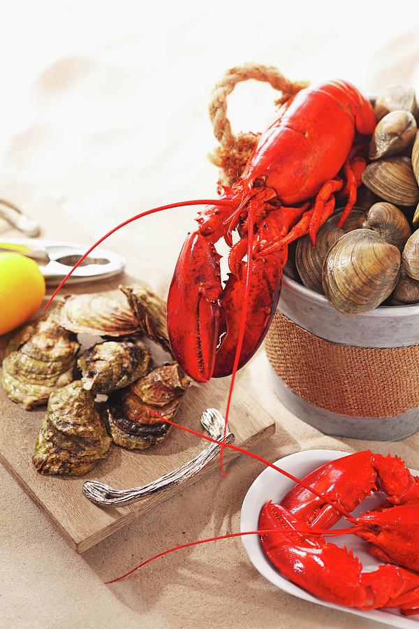 Lobster, Clams And Oysters On A Sandy Surface Photograph by Perry