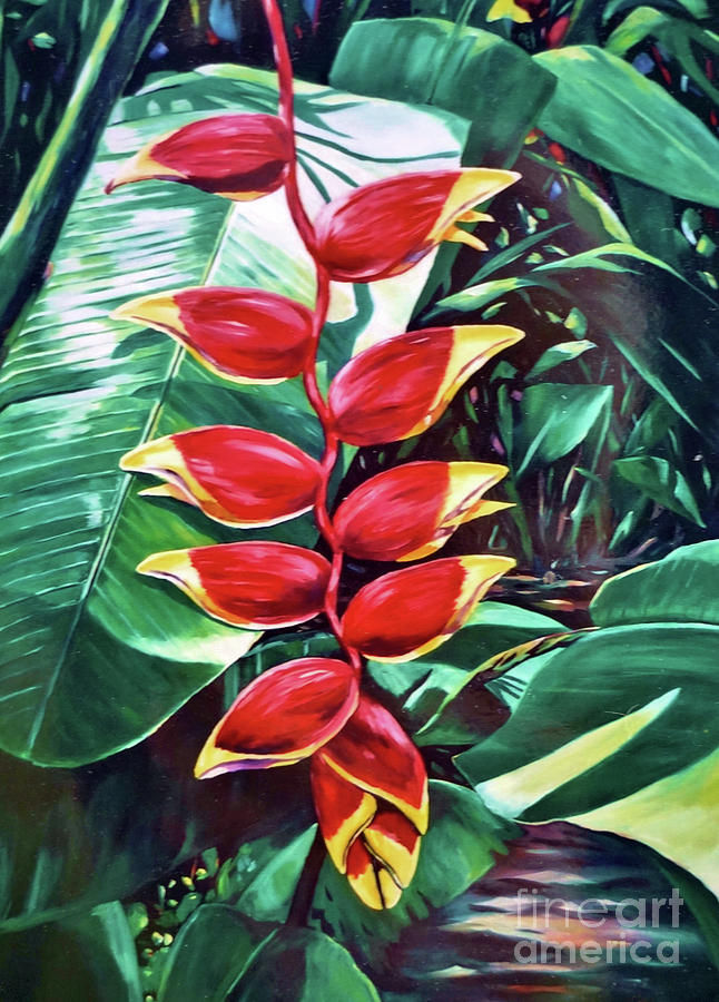 Cayman Painting - Lobster Claw Heliconia by John Clark Cayman Painting - Lobster Claw Heliconia by John Clark
