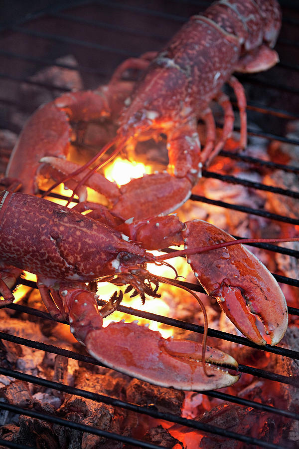Lobster Cooking On A Bbq Photograph by Steven Joyce