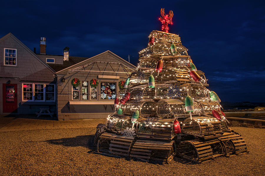 Lobster Pot Tree - Nubble Light Maine by Joann Vitali Lobster Pot Tree - Nubble Light Maine by Joann Vitali