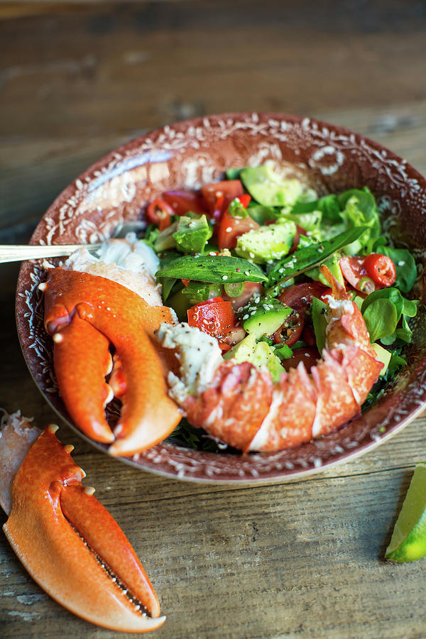 Lobster Salad With Cilantro Photograph by Lara Jane Thorpe