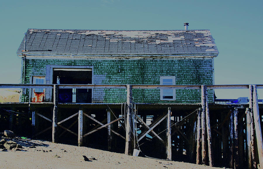 Lobster Shack-Beals Island Photograph by Ross Lewis