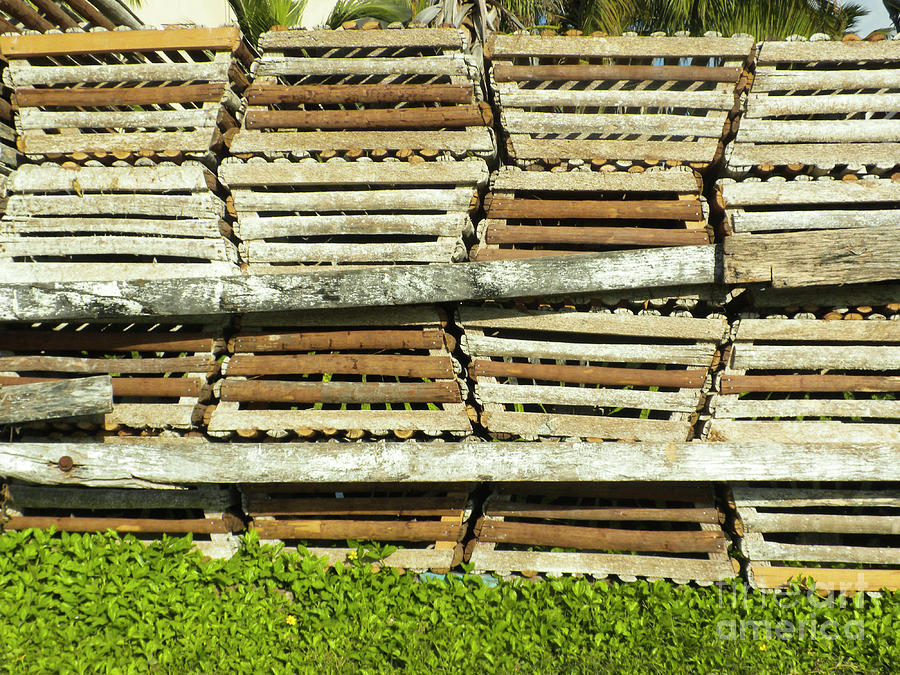 Lobster Traps Belize by Randall Saltys Lobster Traps Belize by Randall Saltys