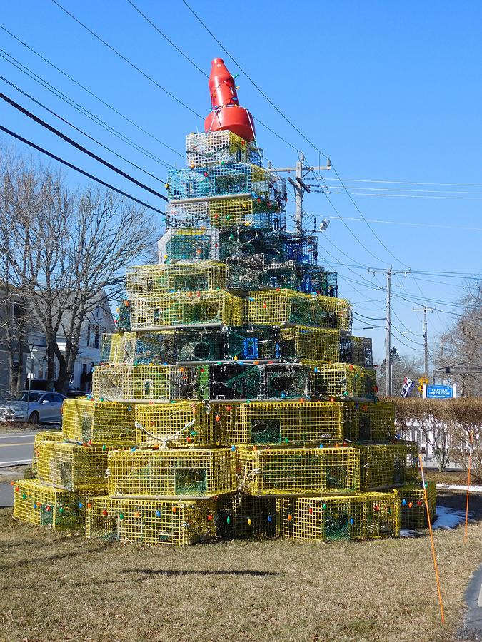 Lobster Traps Photograph By Catherine Gagne