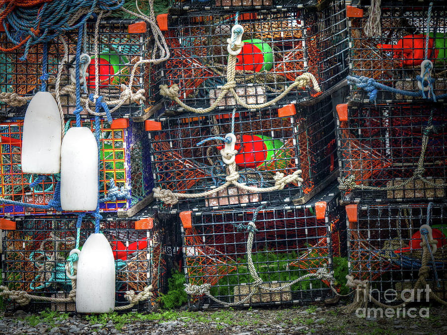 Lobster Traps Photograph by Scott and Dixie Wiley