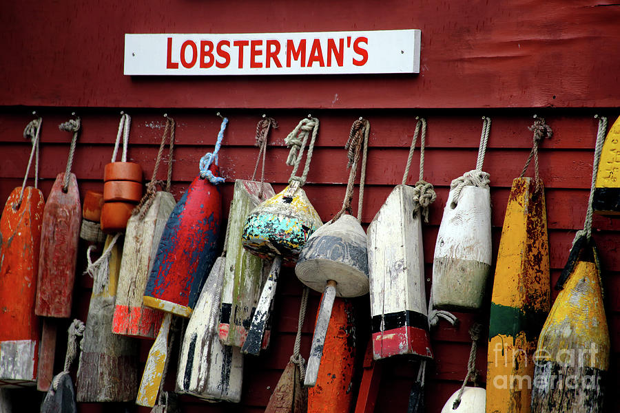 Lobstermans Photograph by Terri Brewster