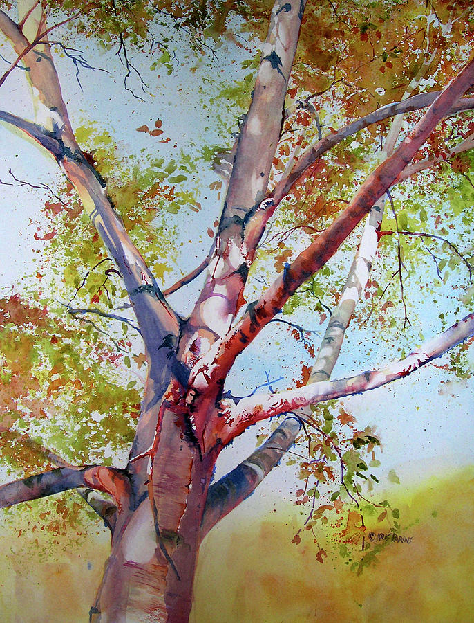 Local Color by Kris Parins Local Color by Kris Parins