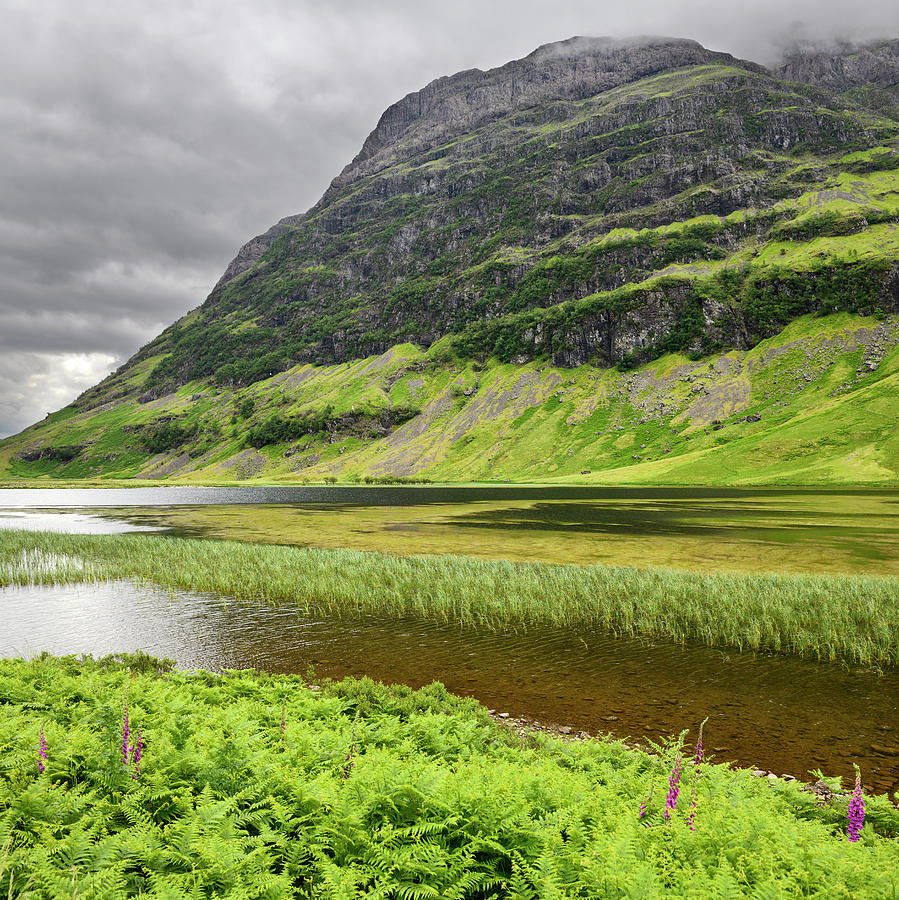 Loch Achtriochtan on the River Coe in green Glen Coe valley with Photograph by Reimar Gaertner
