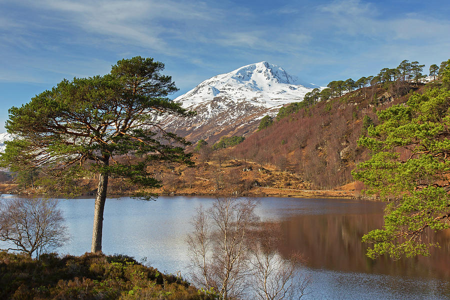 Loch Affric, Scotland Photograph by Arterra Picture Library
