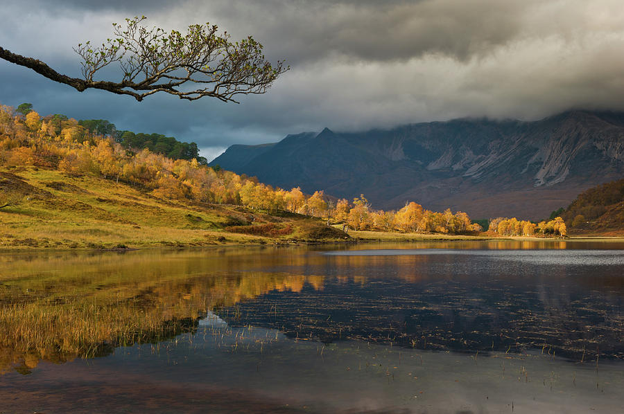 Loch Coulin, Torridon, in autumn Photograph by David Ross