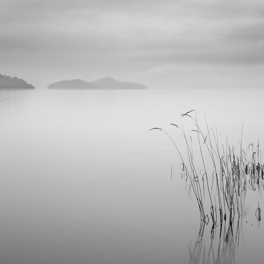 Nature Photograph - Loch Lomond Grass by Billy Currie Photography