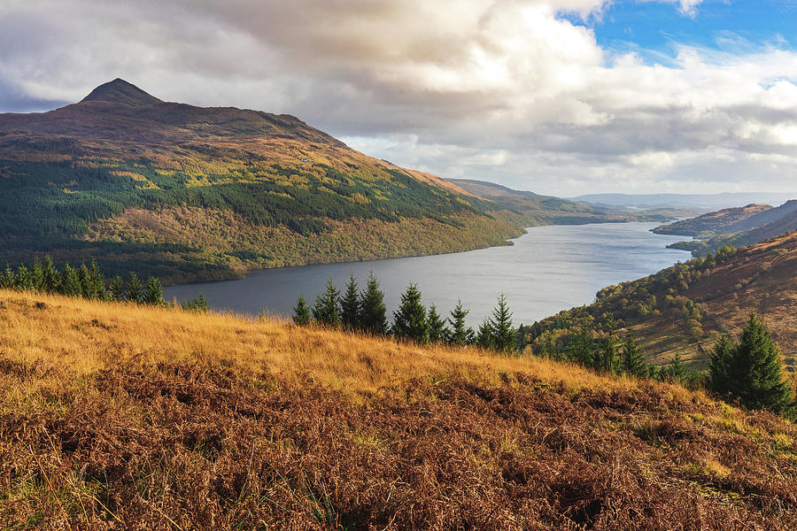 Tree Photograph - Loch Lomond In The Autumn, Scotland by Cavan Images