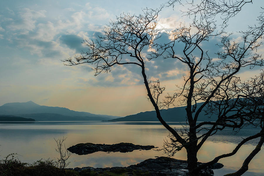 Loch Sunart, Ardnamurchan Photograph by David Ross