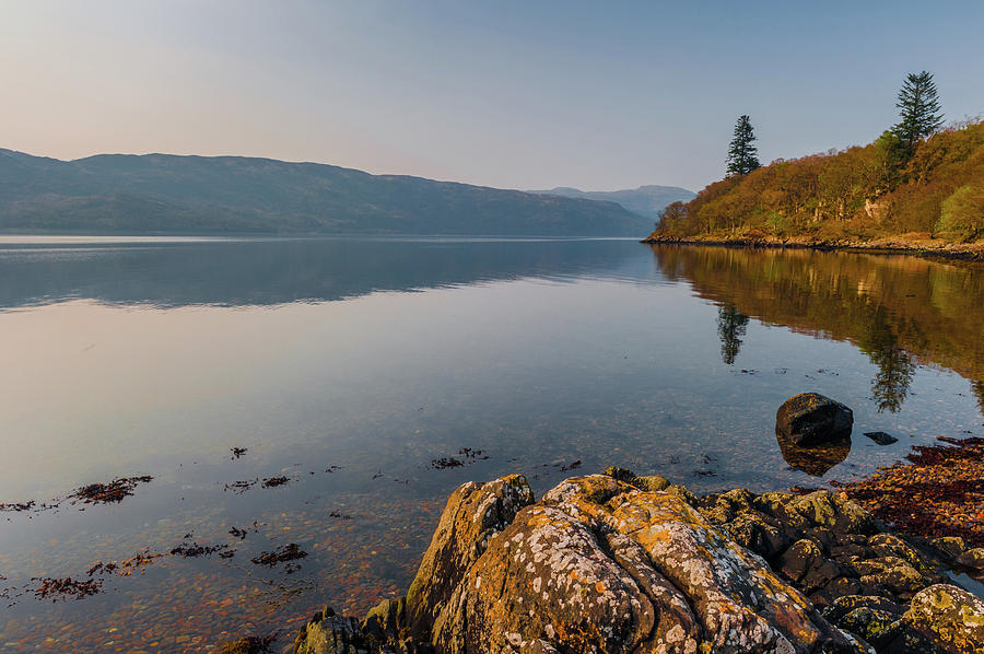 Loch Sunart at dawn Photograph by David Ross