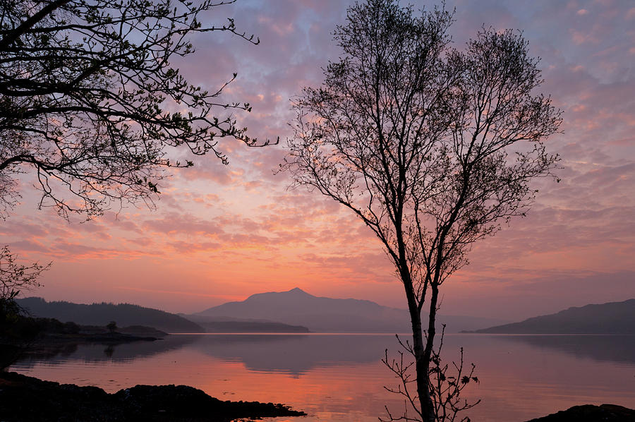 Loch Sunart sunrise, Ardnamurchan Photograph by David Ross