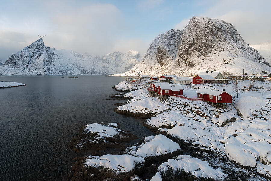 Winter Photograph - Lofoten Islands by Q Liu