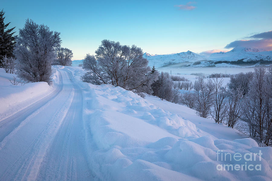 Lofoten Winter Road Photograph by Inge Johnsson
