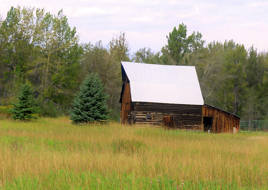 Log Cabin Barn  Photograph by Cathy Anderson