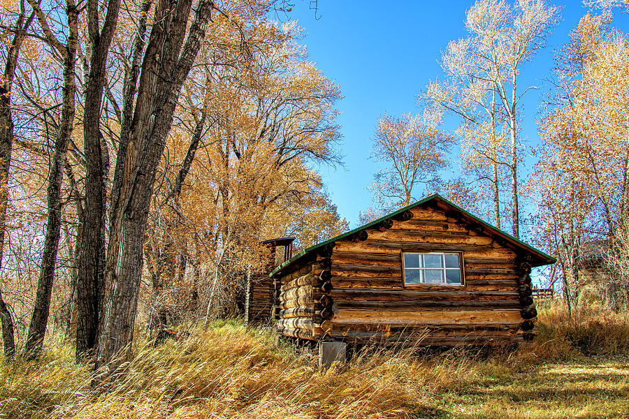Log Cabin in the Cottonwoods Photograph by Sam Sherman