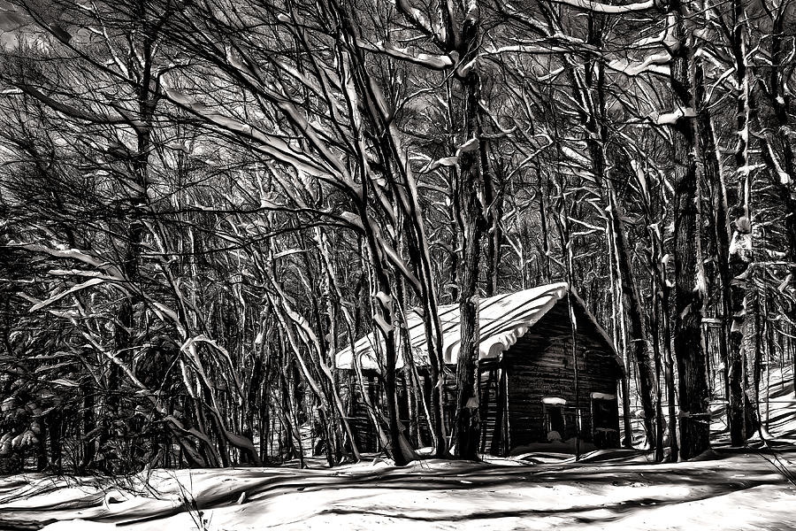 Winter Photograph - Log Cabin by Michel Groleau
