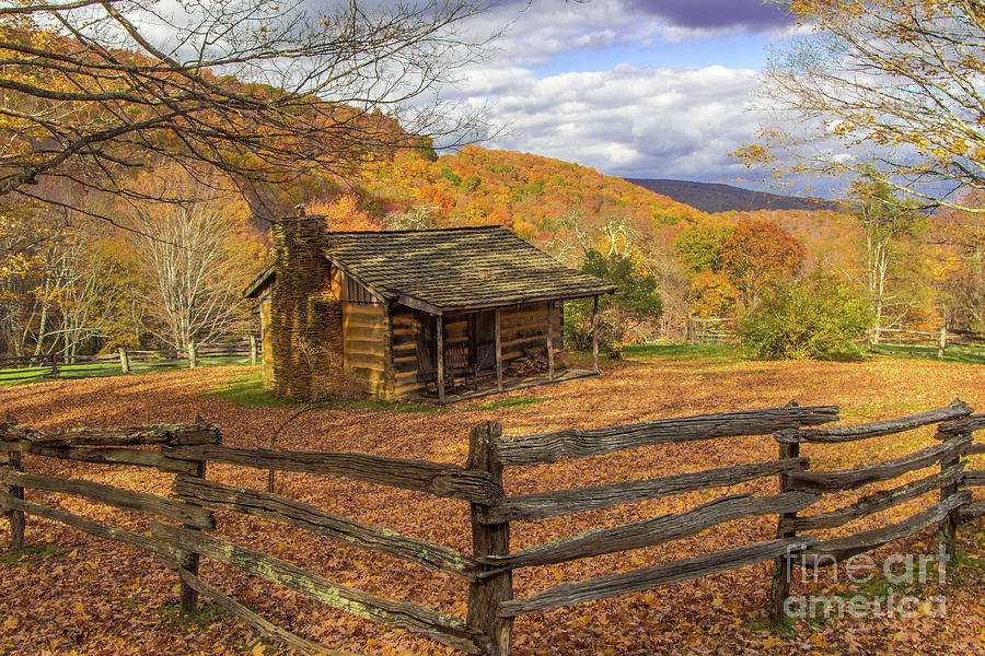 Log Cabin With Fall Foliage Photograph by Jo Ann Gregg