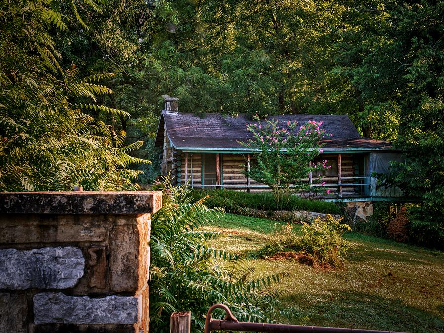 Log Home  Photograph by Buck Buchanan