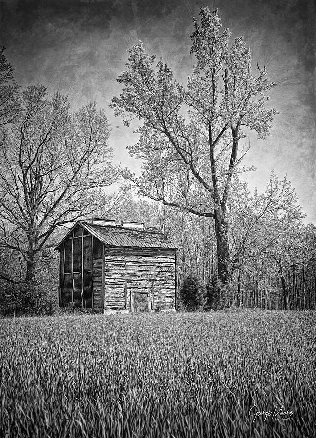 Log Tobacco Barn Photograph by George Moore