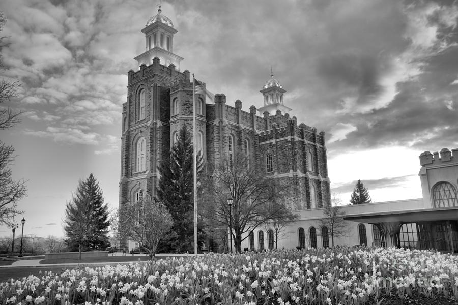 Logan Temple Over The Flowers Black And White Photograph by Adam Jewell