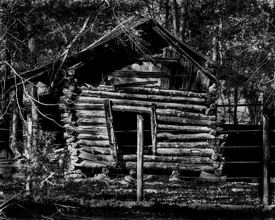 Logged Out Photograph by Jason Walthall - Fine Art America